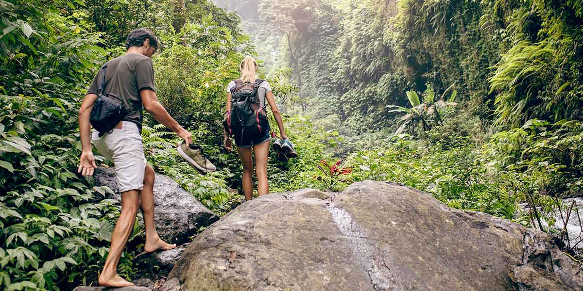 Man and woman walking in the Rainforest Tamborine Mountain