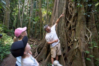 Southern Cross 4WD Tours Your Experienced Guide in the Rainforest