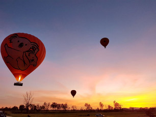 Hot Air Balloon - Balloons In Flight