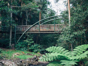 Tall Trees Motel Rainforest Bridge