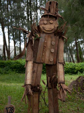 Woody Scarecrow