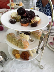 Tea and Niceties Delicious Cake Selection