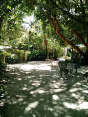Tea and Niceties Gardens