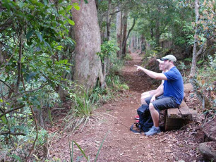 Tamborine National Park -- Witches Falls Section Relaxing