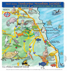 Meet Some Tamborine Mountain Locals Map Guide PDF