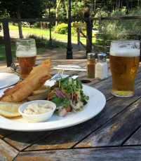 Clancys Bar & Restaurant Tamborine Mountain - Fish and Chips and a cool beer