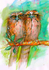 Frogmouth x 2 by Gaye Dell