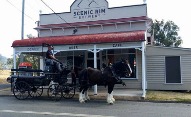 Scenic Rim Brewery - Horses and cart
