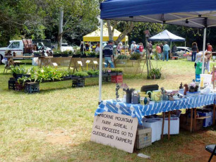 Tamborine School Markets - Market Stalls