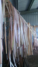 Bark Drying for Basket Weaving - Cindy Wood