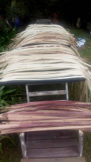 Baskets weaving materials - Cindy Wood