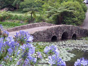 Botanic Gardens - Lake with Stone Bridge