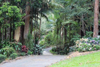 Botanic Gardens - Pathway