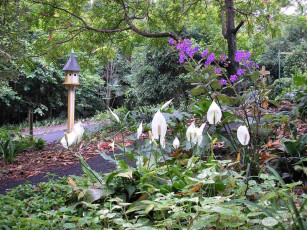 Botanic Gardens - Perenial Garden
