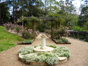 Botanic Gardens - Rose Garden