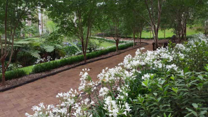 Botanic Gardens - White Flower Walk