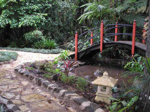 Botanic Gardens - Japanese Garden Bridge