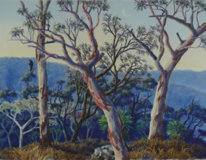 Dave Groom Landscape Artist - Currawong and Peeling Bark