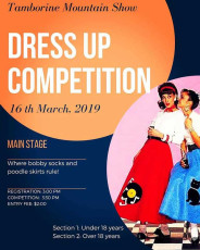 Tamborine Mountain Show - Dress Up Competition