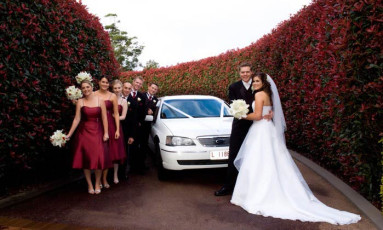 Tamborine Gardens - Wedding Party and wedding car