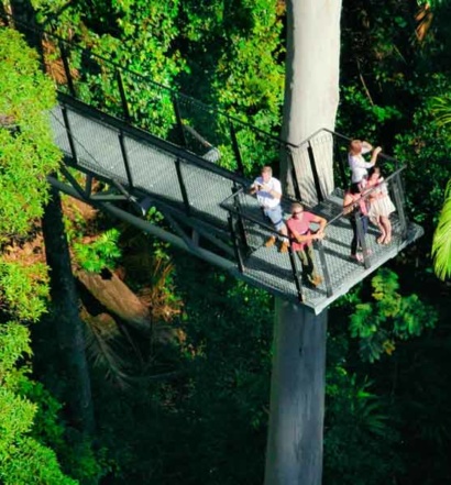 Tamborine Rainforest Skywalk - Cantilever from Heli