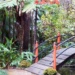 Botanic Gardens - Japanese Garden